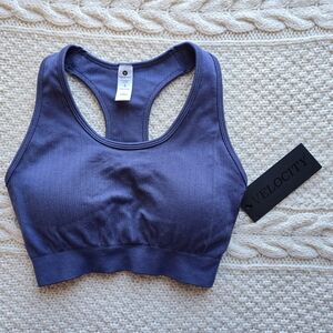 Velocity Purple Sports Bra